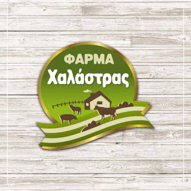 Η Εταιρεία μας