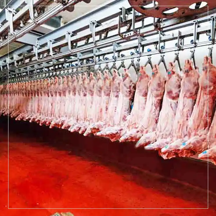 Εγκαταστάσεις